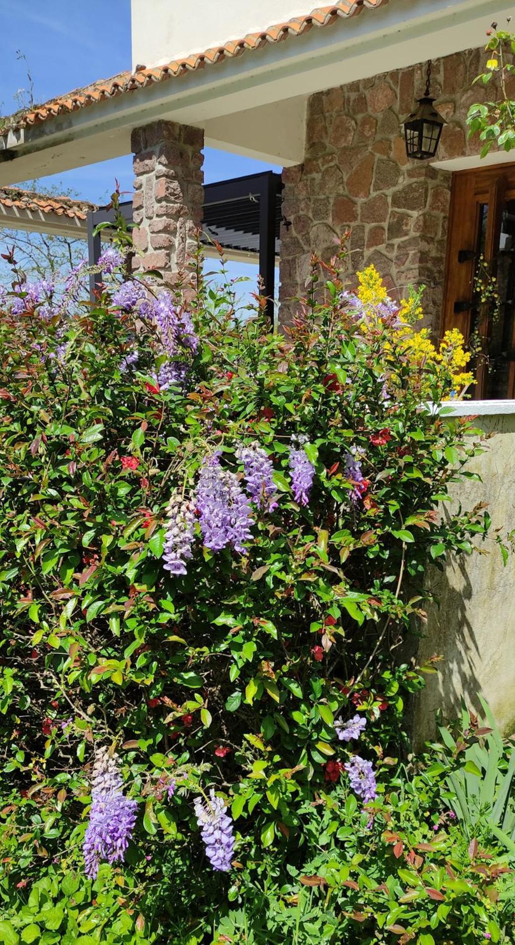 13 Bees Bed & Breakfast Confolens Bagian luar foto