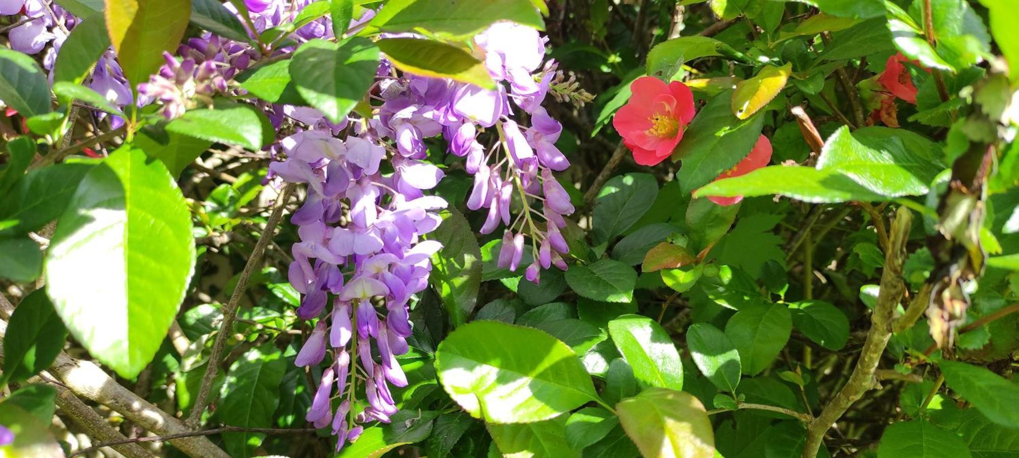 13 Bees Bed & Breakfast Confolens Bagian luar foto