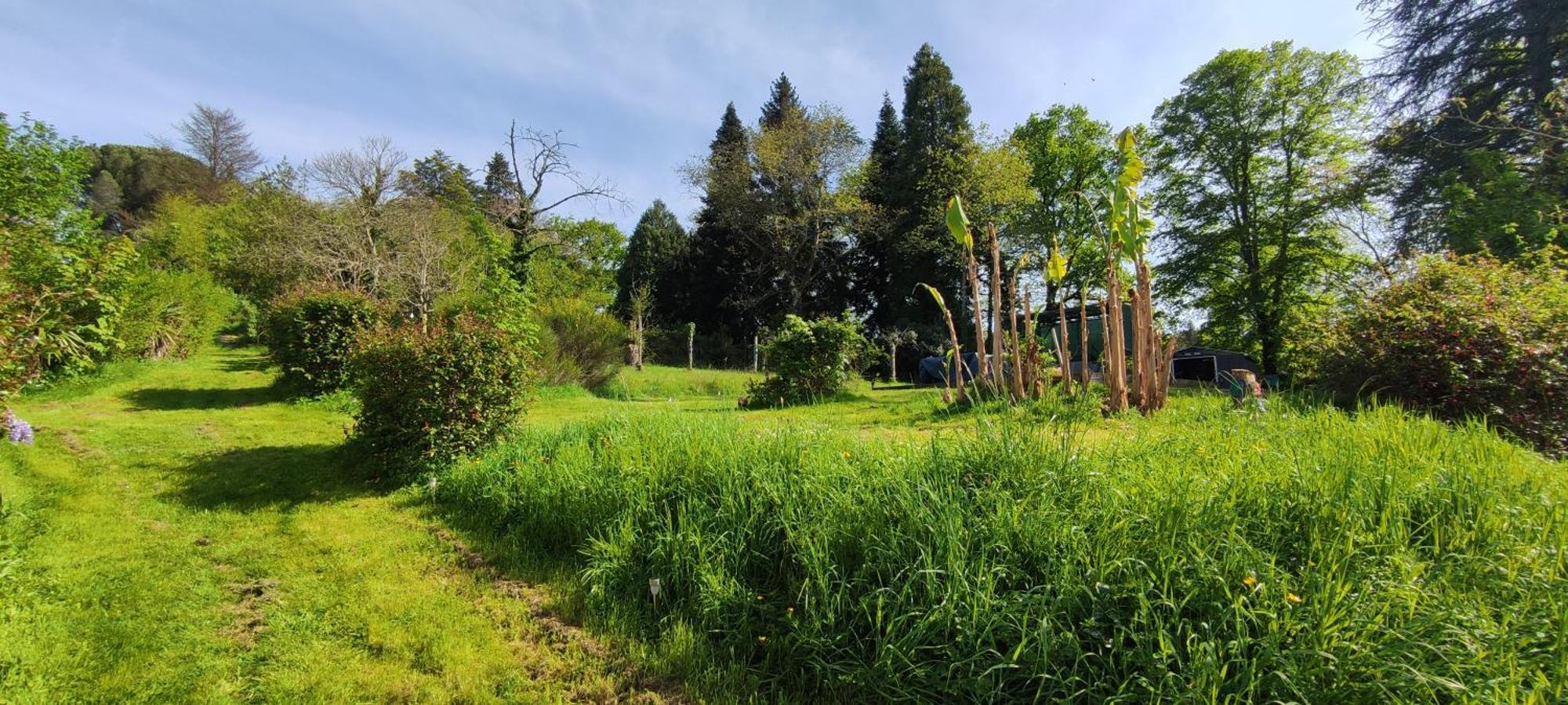 13 Bees Bed & Breakfast Confolens Bagian luar foto