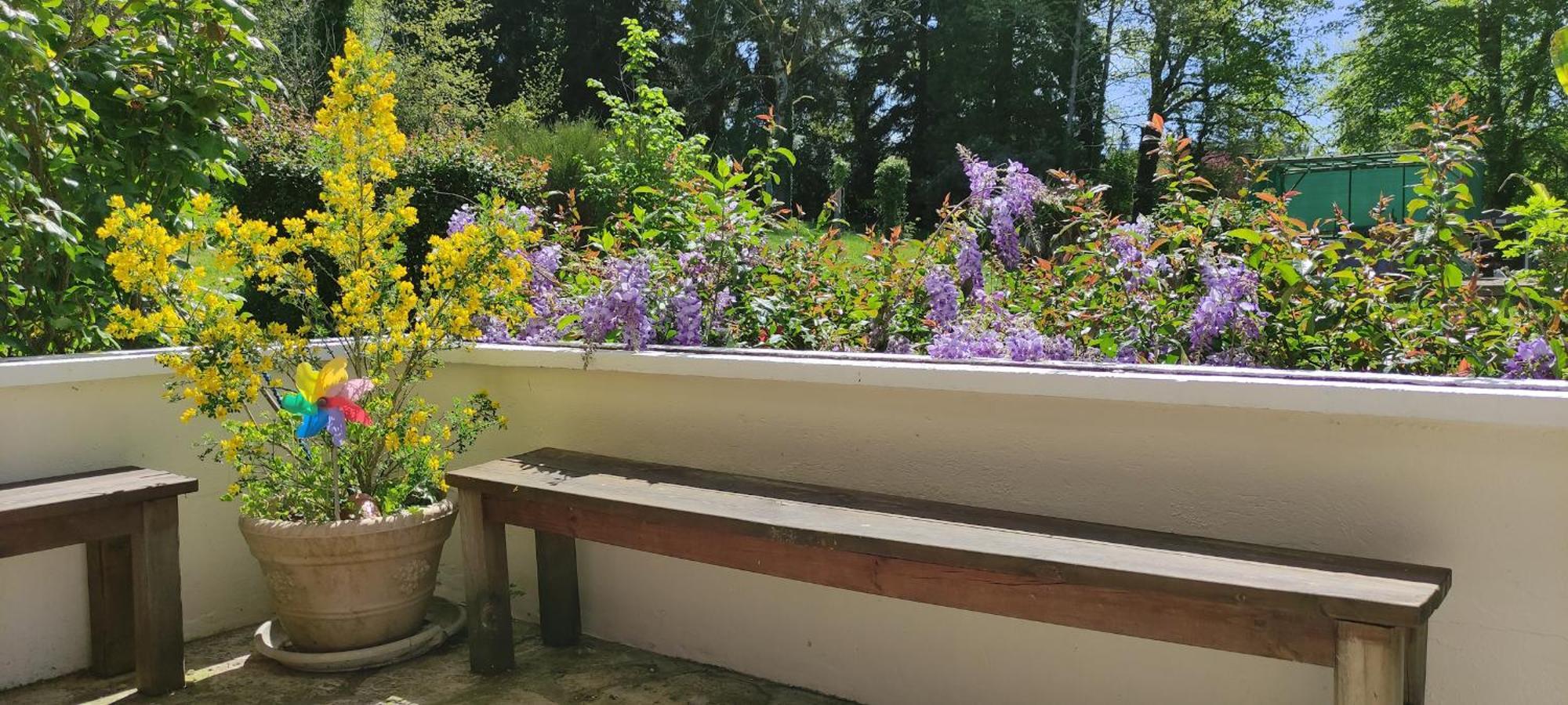 13 Bees Bed & Breakfast Confolens Bagian luar foto