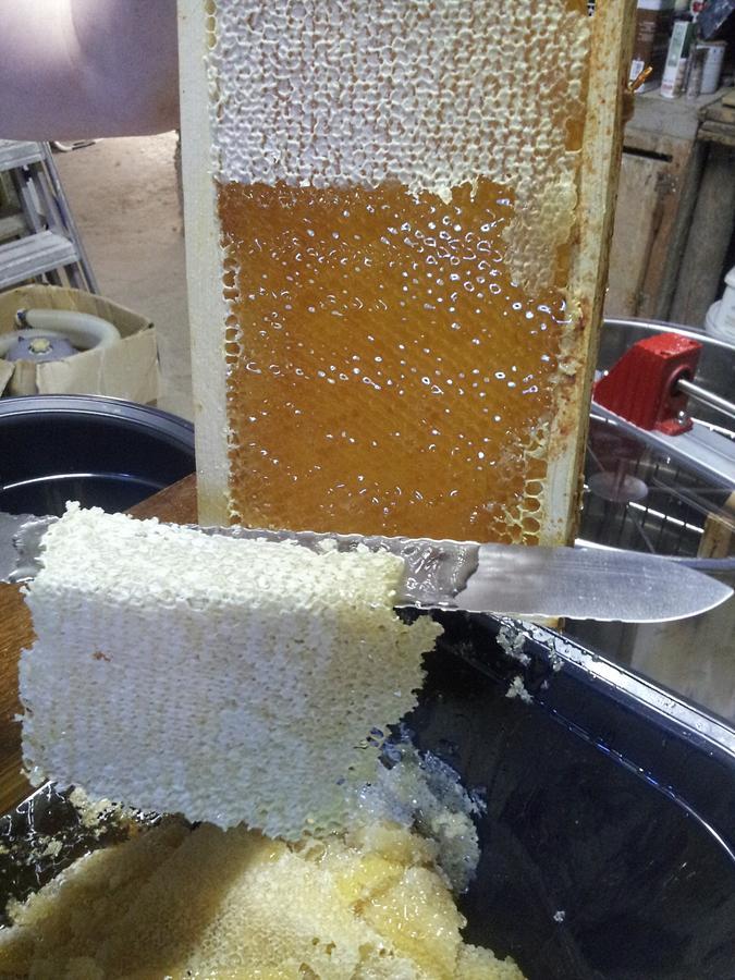 13 Bees Bed & Breakfast Confolens Bagian luar foto