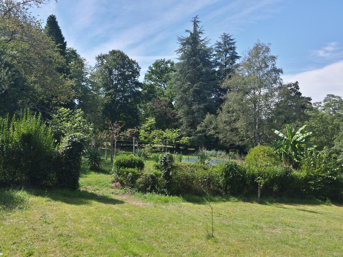 13 Bees Bed & Breakfast Confolens Bagian luar foto