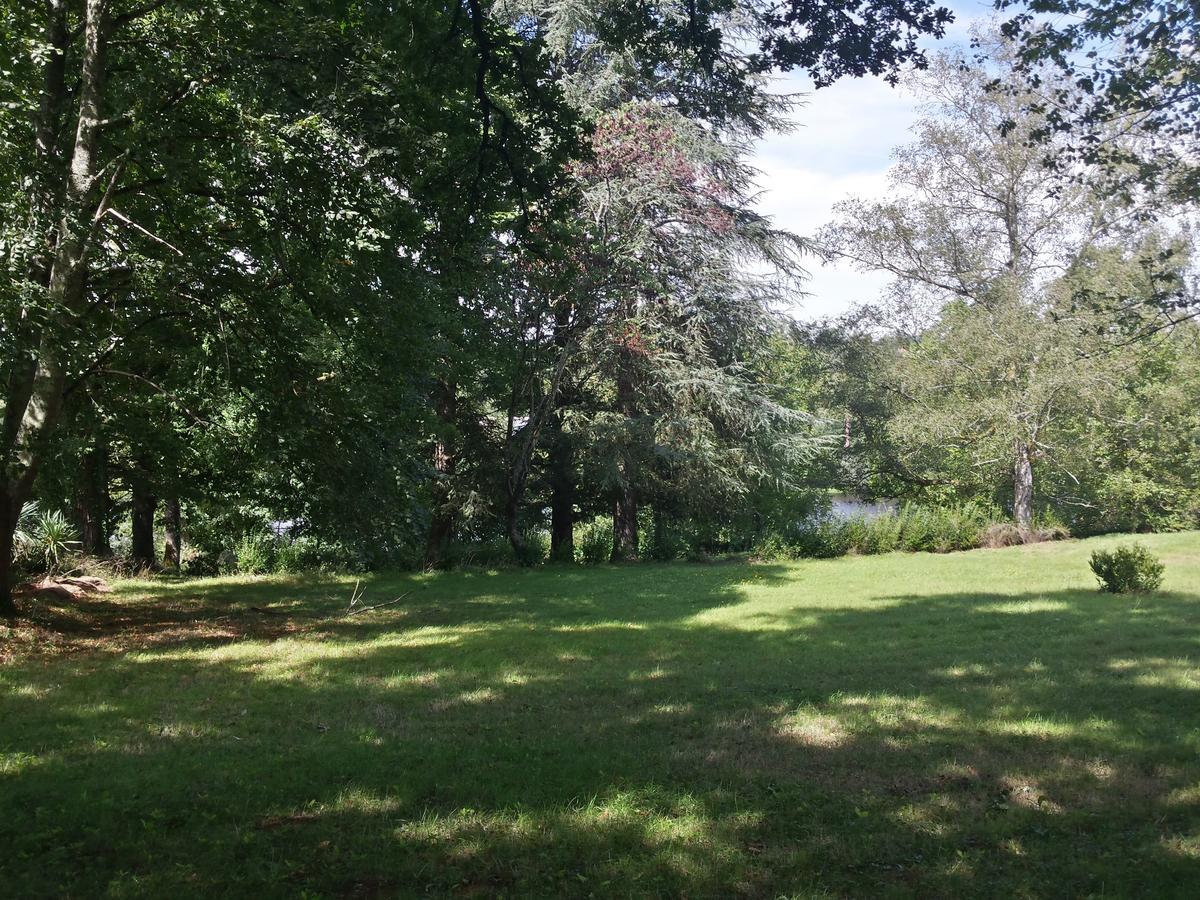 13 Bees Bed & Breakfast Confolens Bagian luar foto