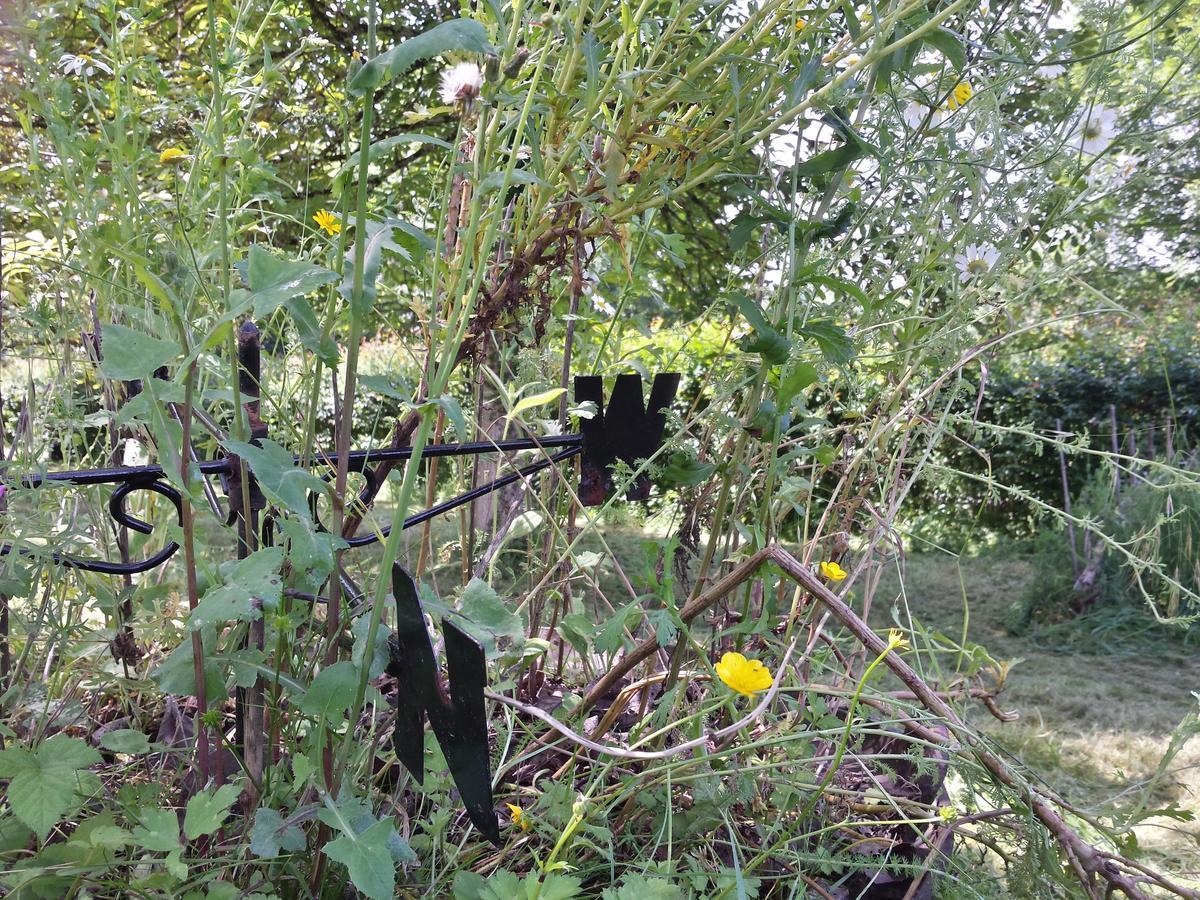 13 Bees Bed & Breakfast Confolens Bagian luar foto