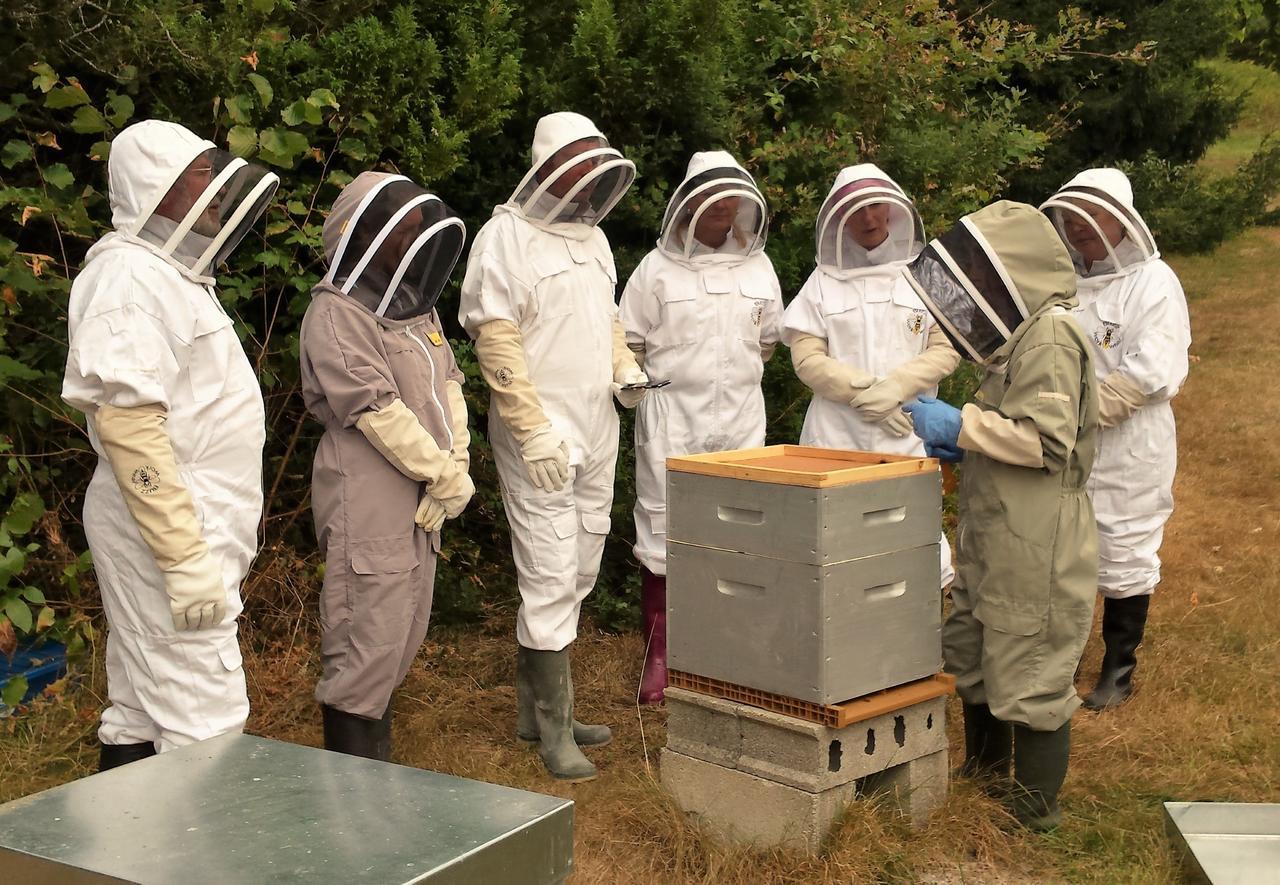 13 Bees Bed & Breakfast Confolens Bagian luar foto