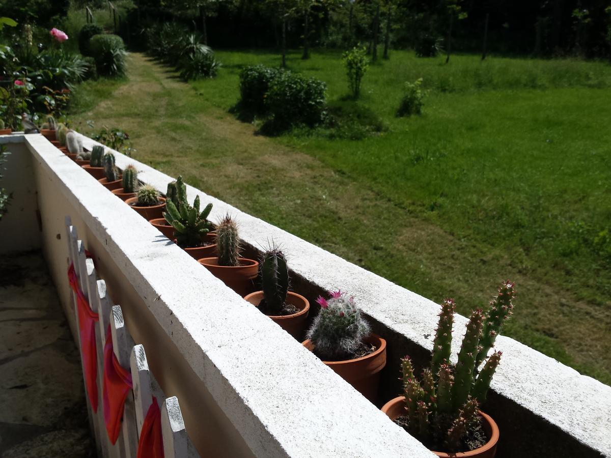 13 Bees Bed & Breakfast Confolens Bagian luar foto